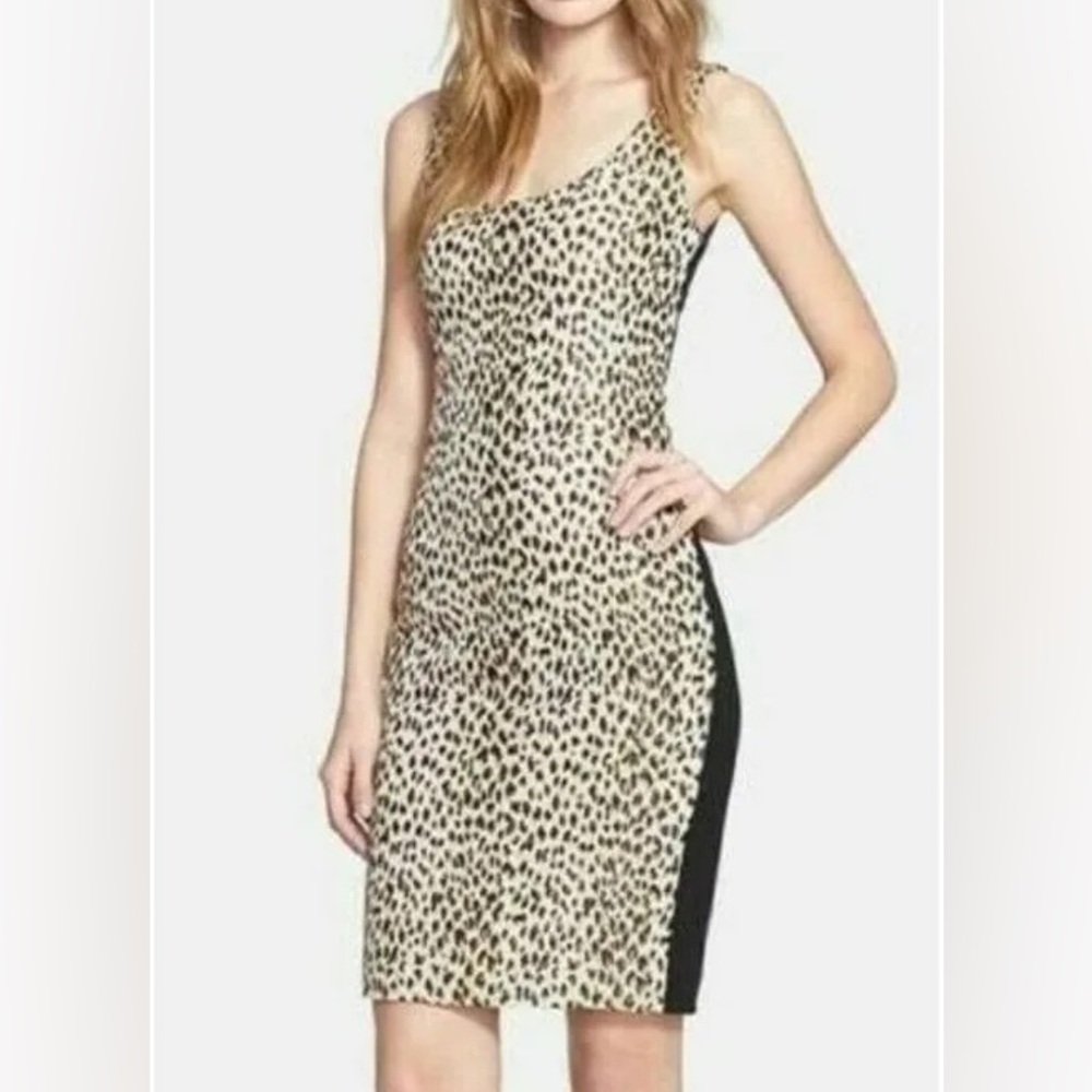 Diane Von Furstenberg Leopard Print Dress